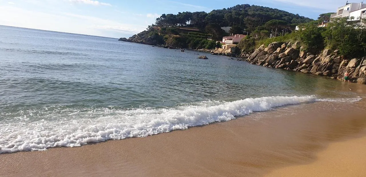 Apartamento Con Jardin A 11 Metros De La Playa. Se. 팔라모스 0*,